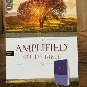 Amplified Study Bible